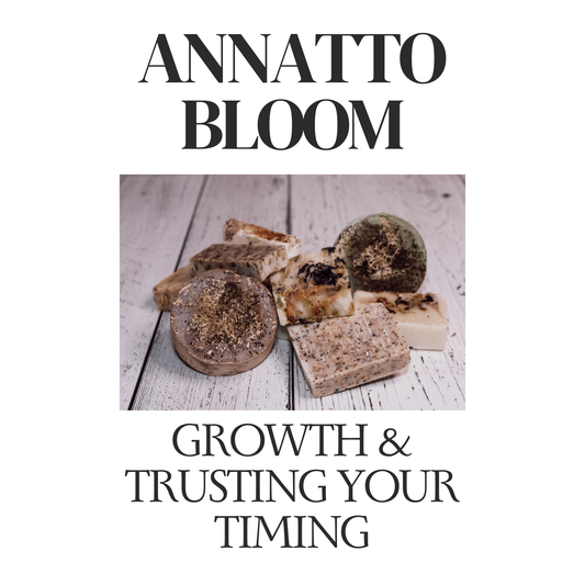 Annatto Bloom — Growth & Trusting Your Timing